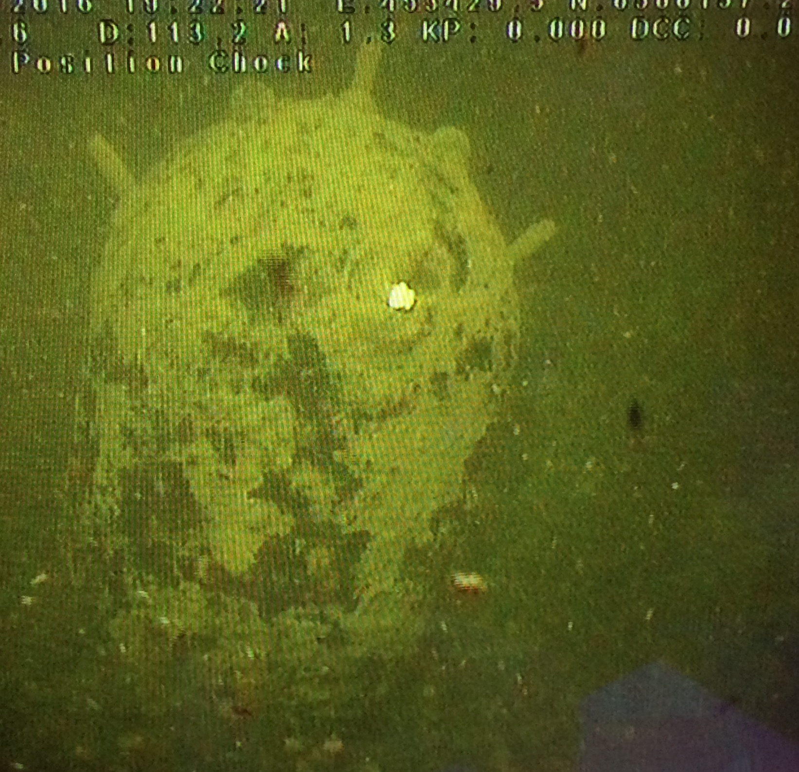 Foto Independent Second Opinions & Technical Reviews