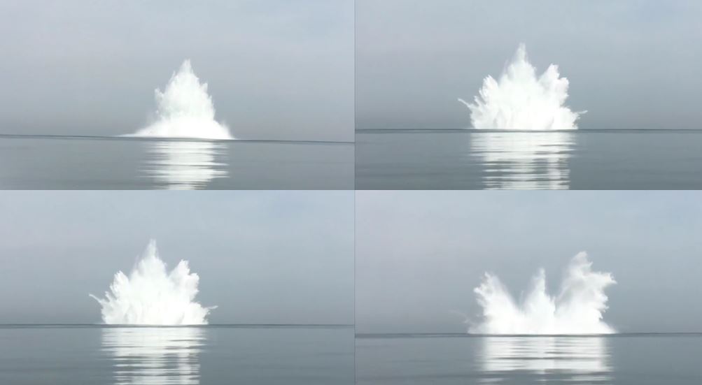 Foto Independent Second Opinions & Technical Reviews